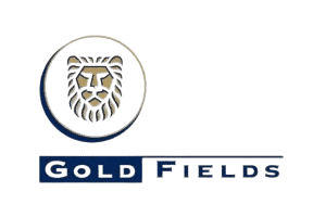 Goldfields